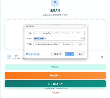 下载转换后的TXT文件